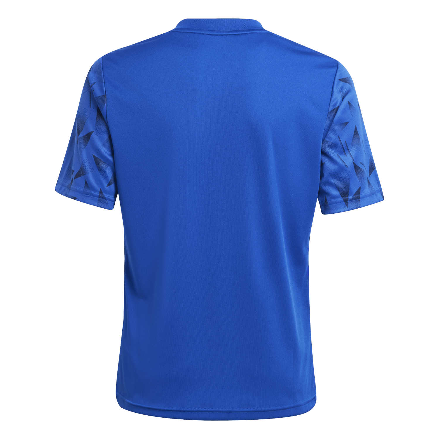 adidas Youth Team Icon 25 Jersey - Royal JJ1952