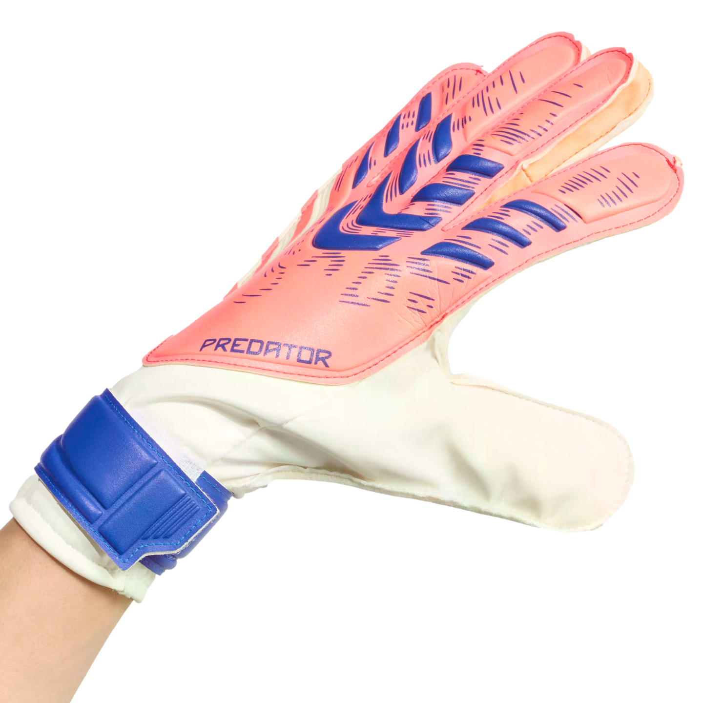 Adidas Predator Training Goalkeeper Gloves JN5355