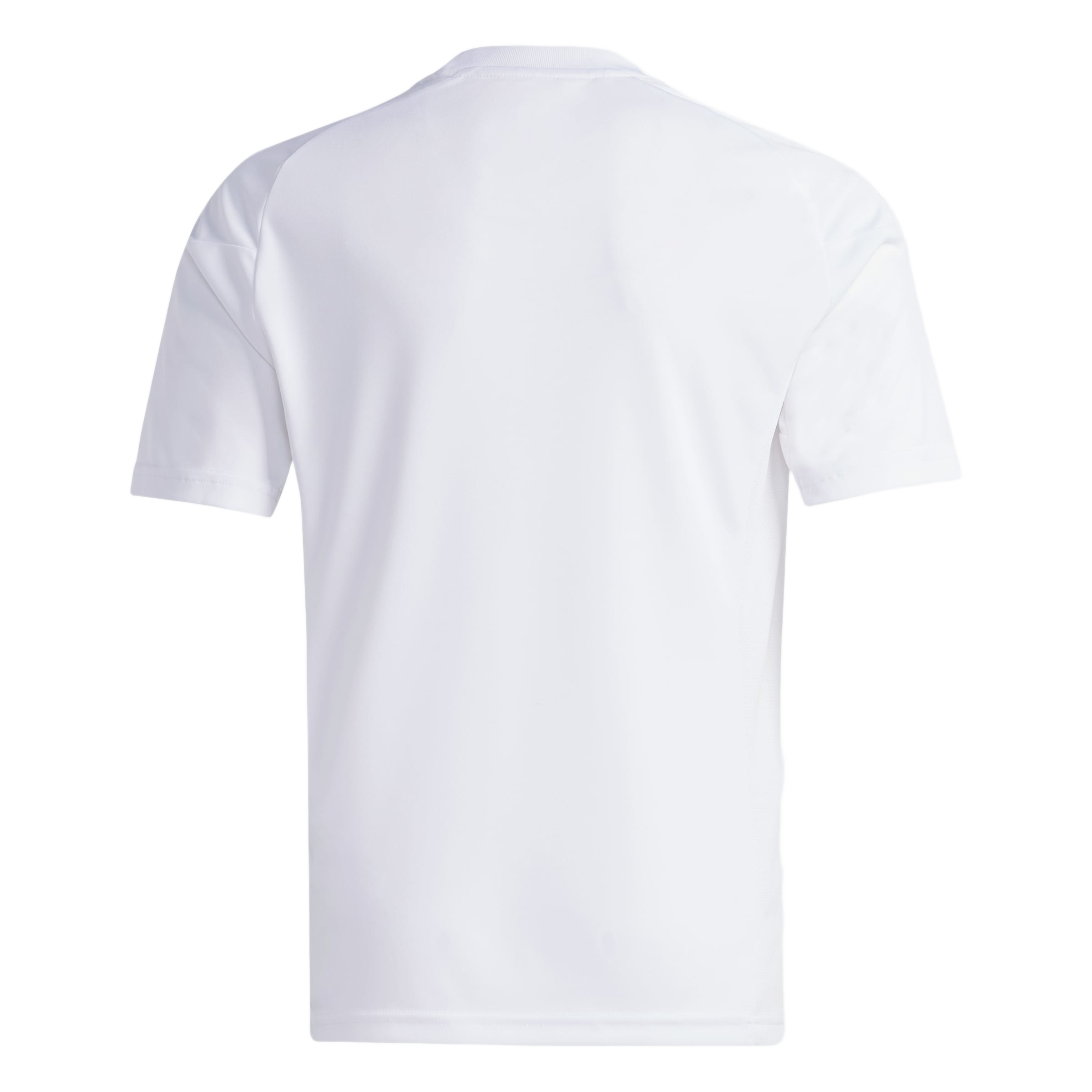 Back view of a plain white short-sleeved t-shirt against a light gray background.