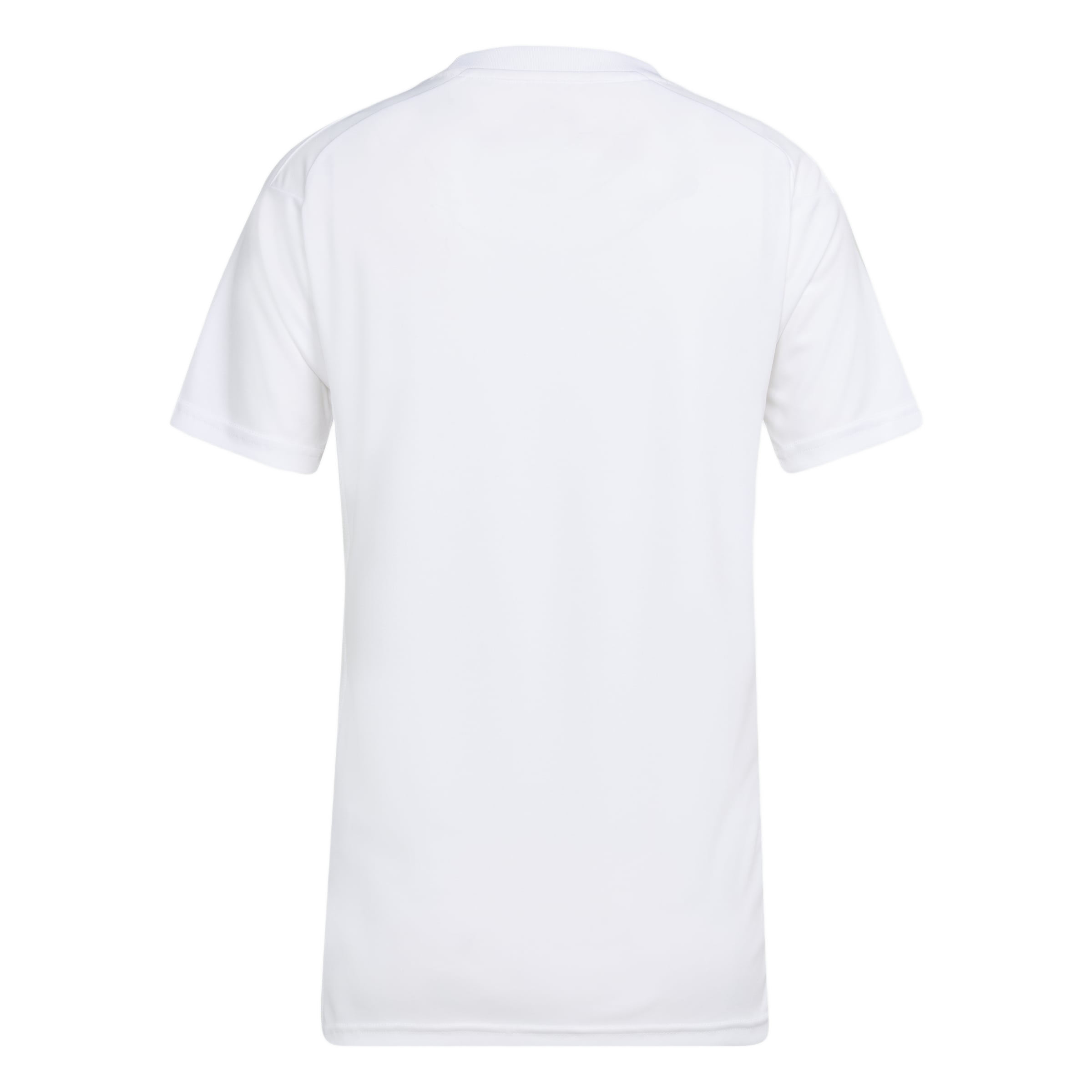 Back view of a plain white short-sleeved t-shirt against a light gray background.