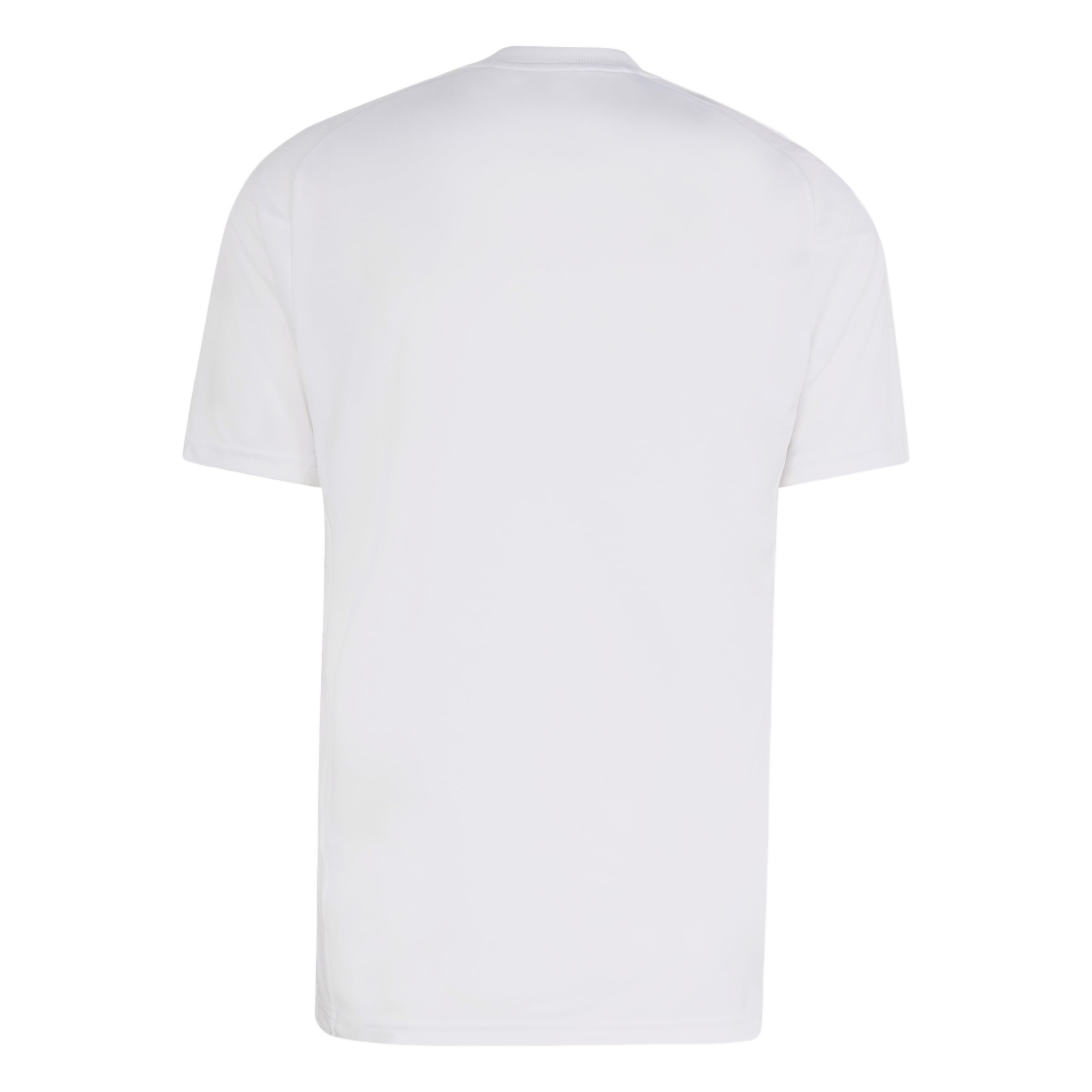 The back view of a plain white, short-sleeved crew neck t-shirt against a neutral light grey background.