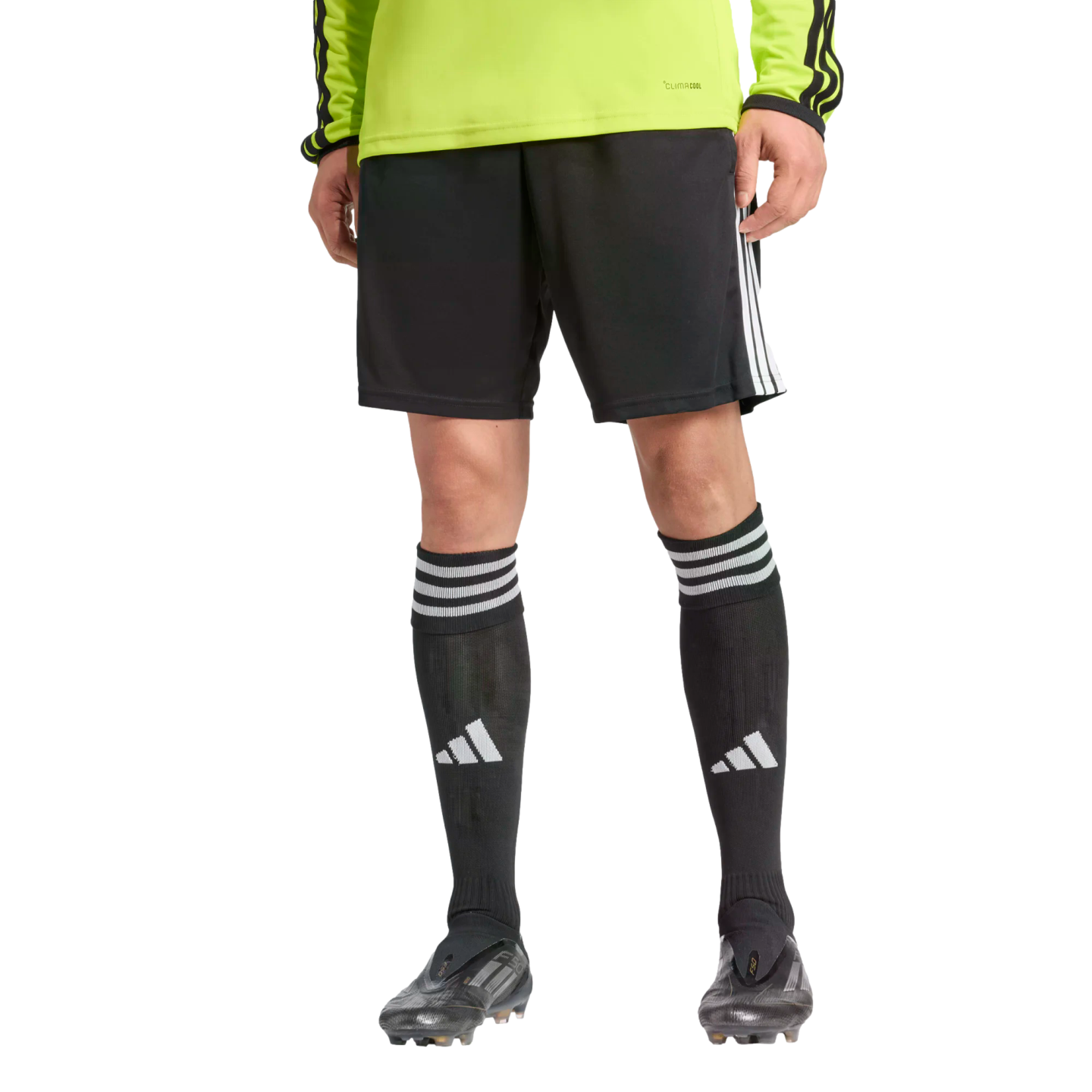 Adidas Referee 26 Shorts