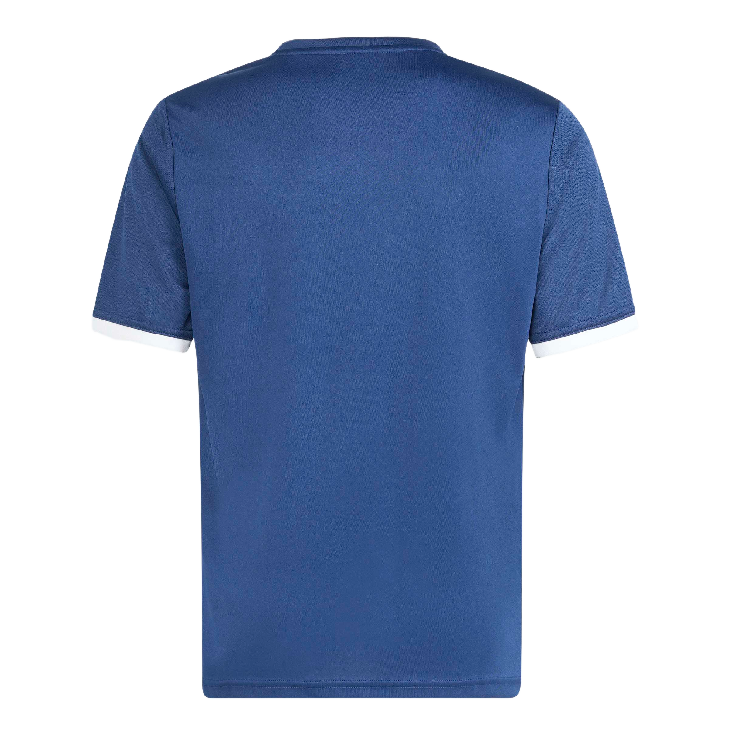 Back view of a blue short-sleeved athletic t-shirt featuring white trim on the sleeve cuffs and collar.