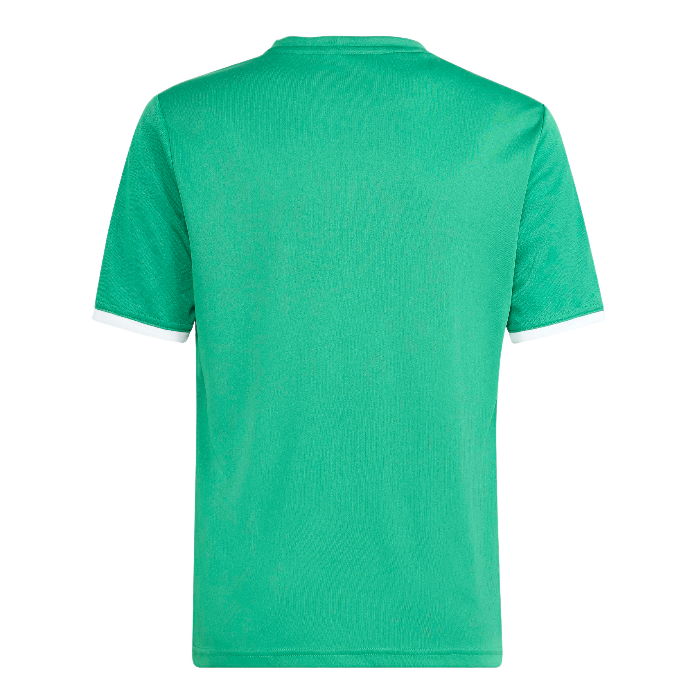 Back view of a solid green short-sleeved athletic t-shirt with white trim on the collar and sleeve cuffs.