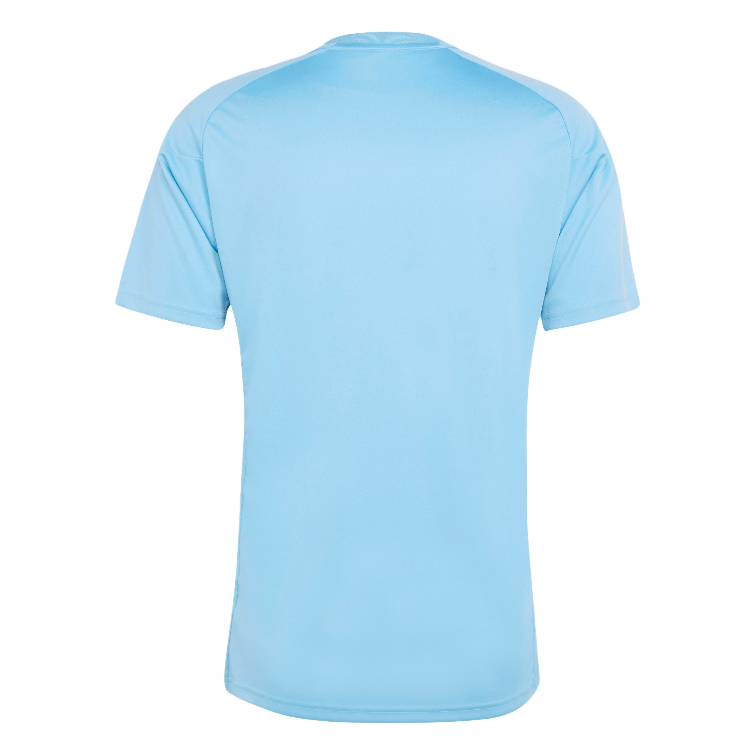 Back view of a plain light blue short-sleeved sports jersey.