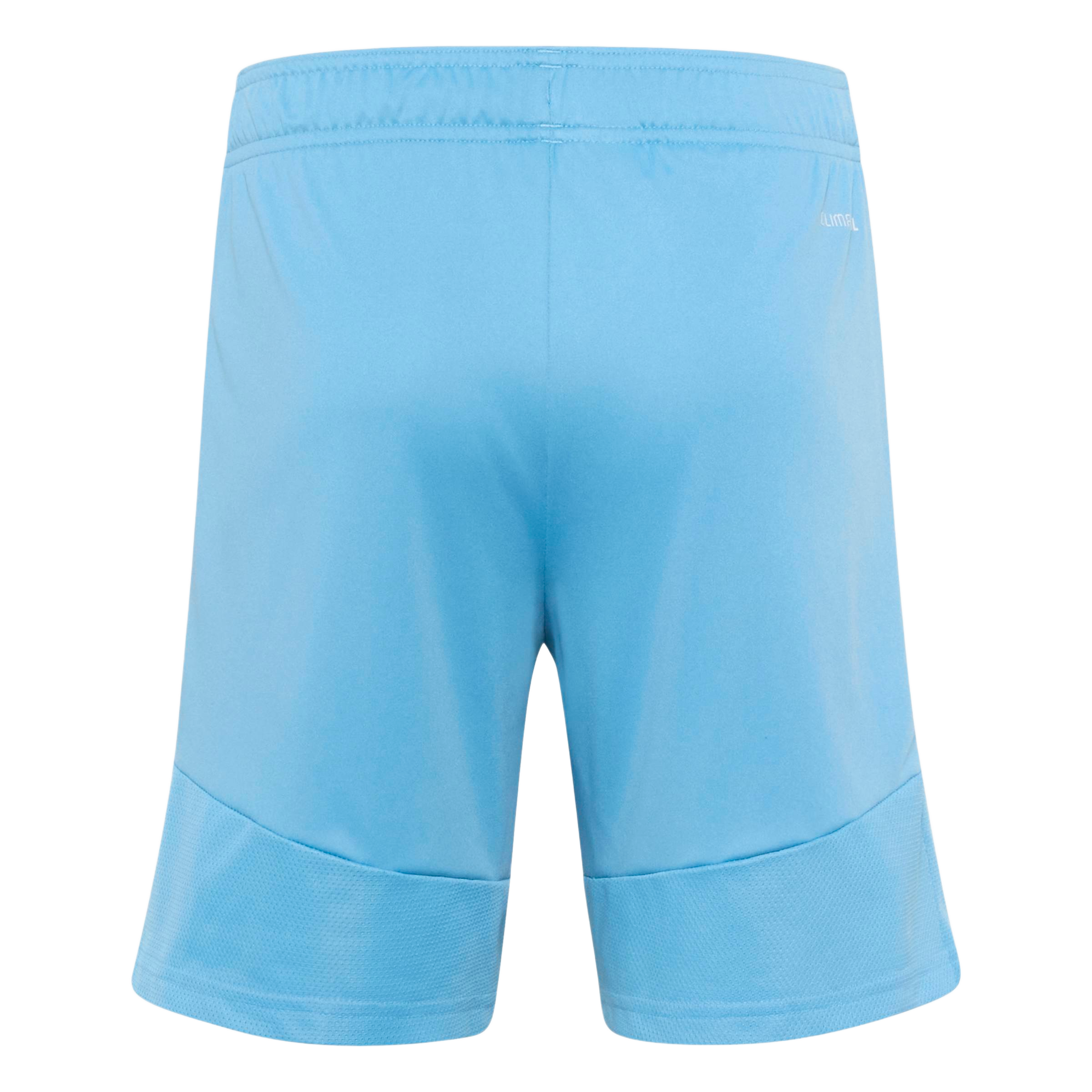 Back view of light blue athletic shorts featuring an elastic waistband and textured mesh panels at the lower legs.