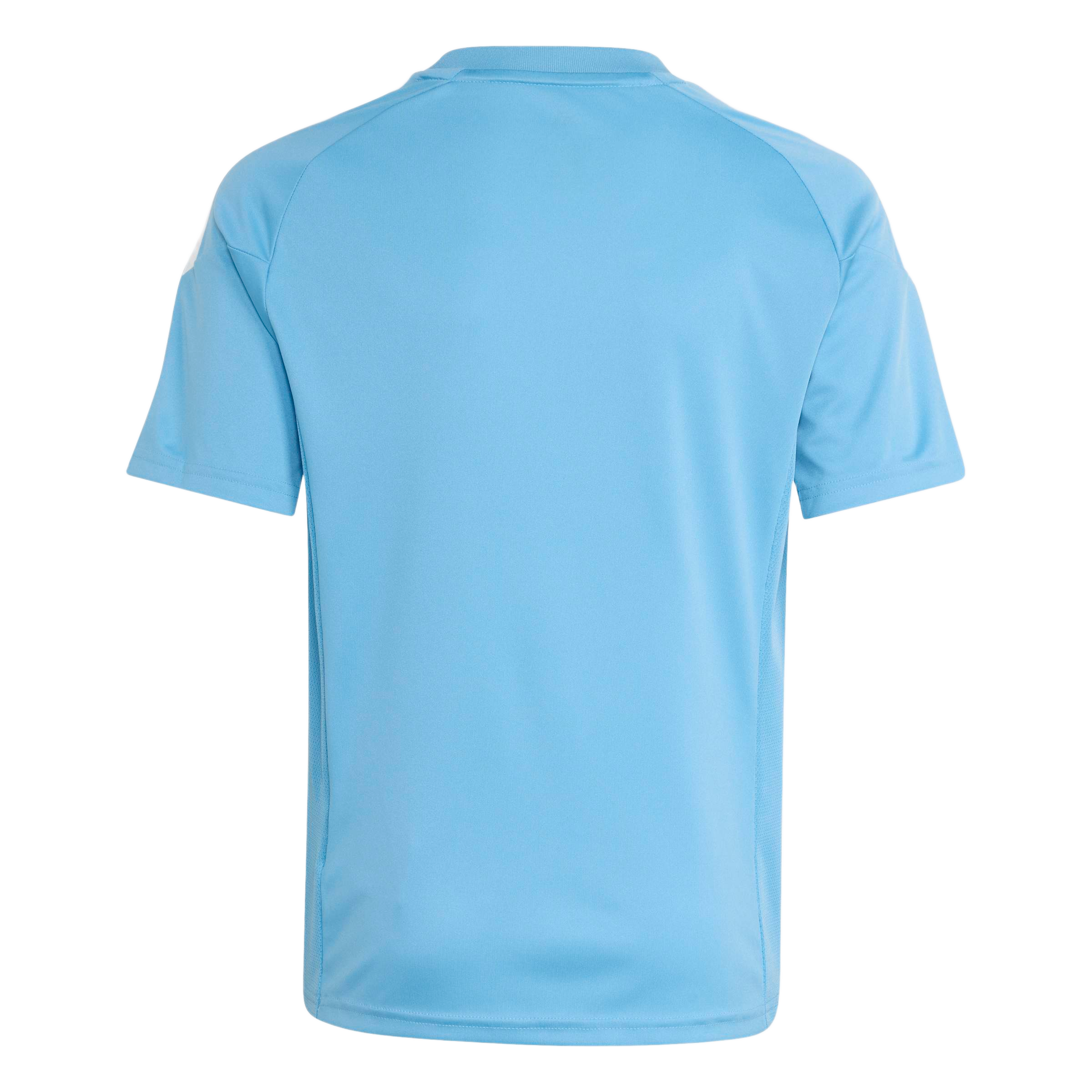 Back view of a light blue short-sleeved sports jersey with raglan sleeves on a light grey background.