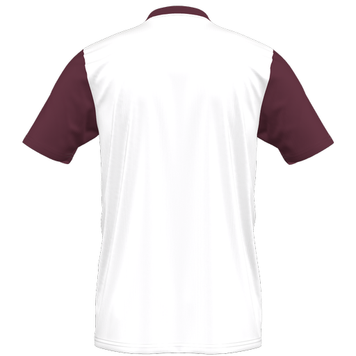 adidas Entrada 22 Custom Jersey Warminster - White