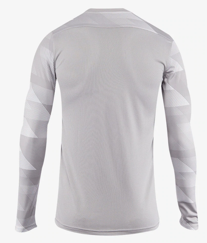 Nike Dri-FIT Park IV GK Jersey - Gray CJ6068-012