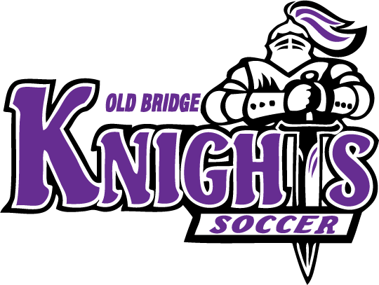 Old Bridge HS Big Logo Purple