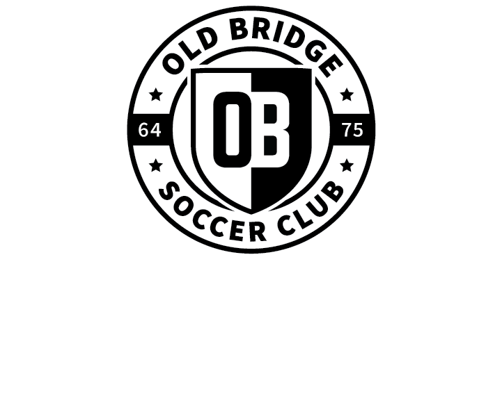 Old Bridge SW Logo - White