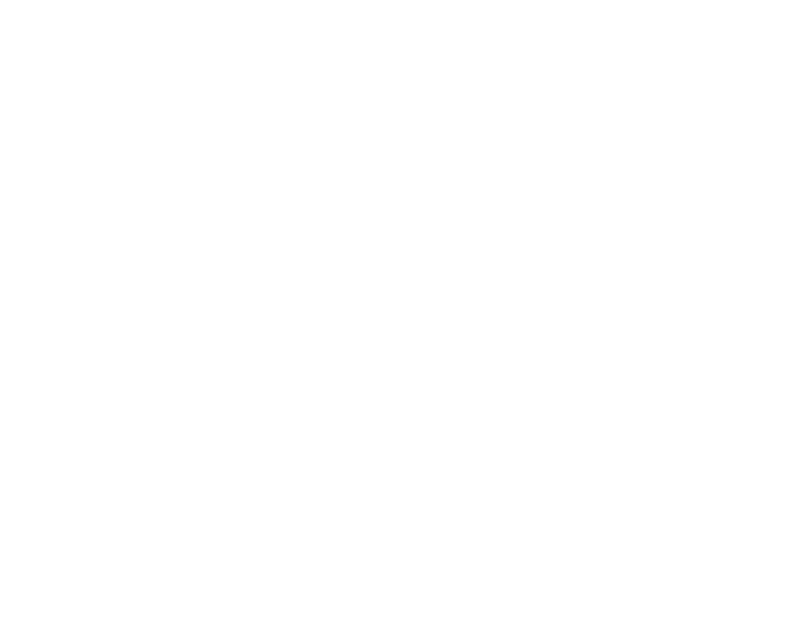 4in "Pro Block" - WHITE #25