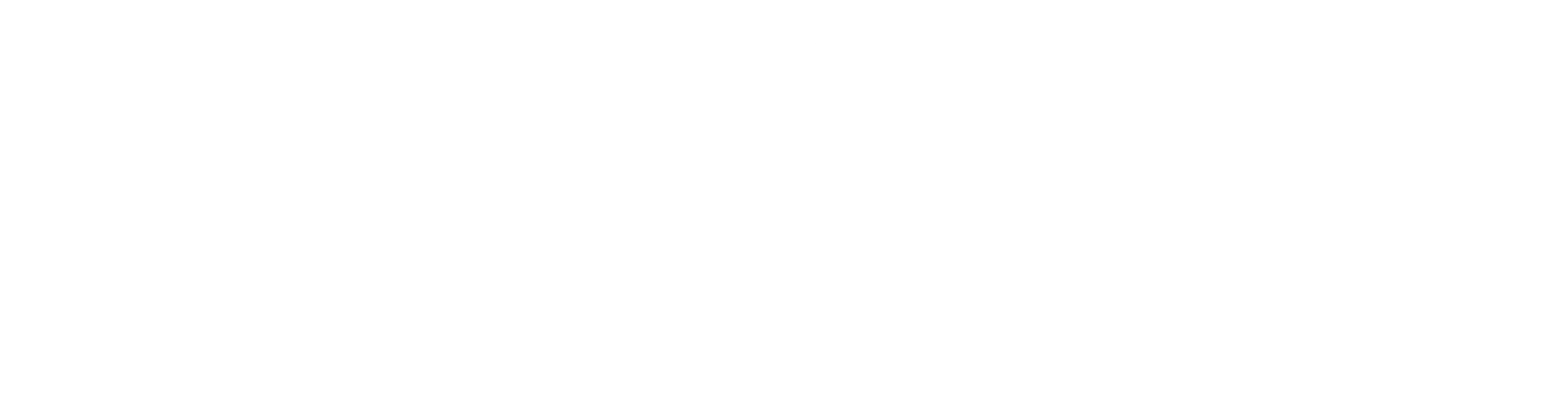 A solid white rectangular image.