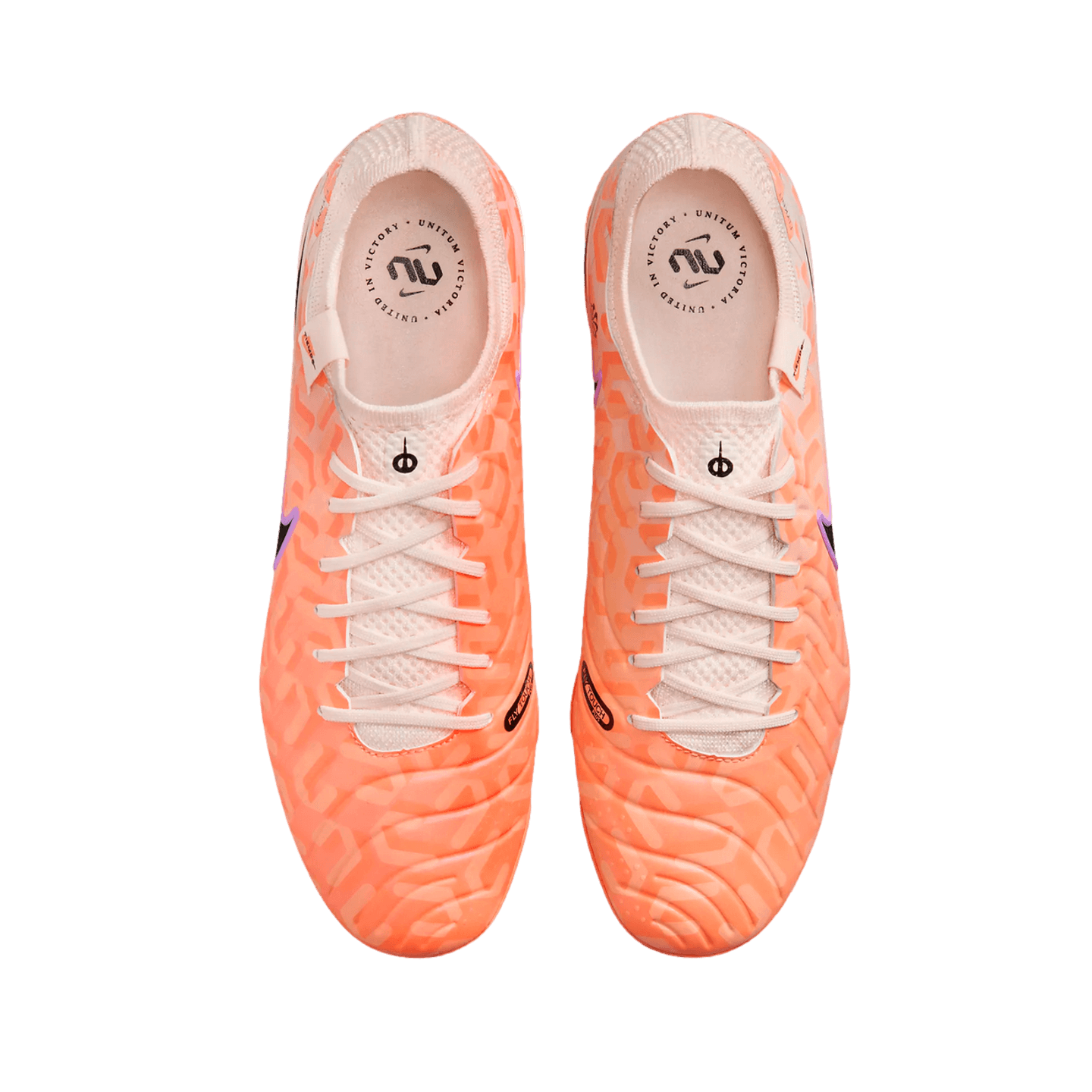 Nike Tiempo Legend 10 Elite NU Firm Ground Cleats DZ3176-800