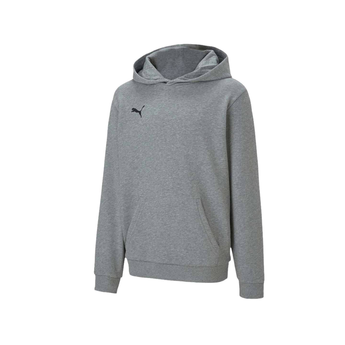 Puma Team Goal 23 Causals Youth Hoodie - Grey 656711-33