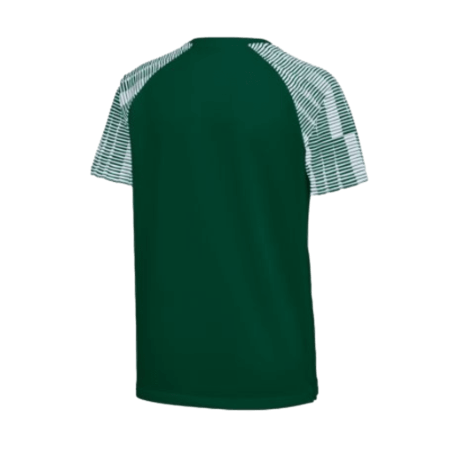 Nike Youth Dri-FIT Academy Jersey - Green DH8386-341