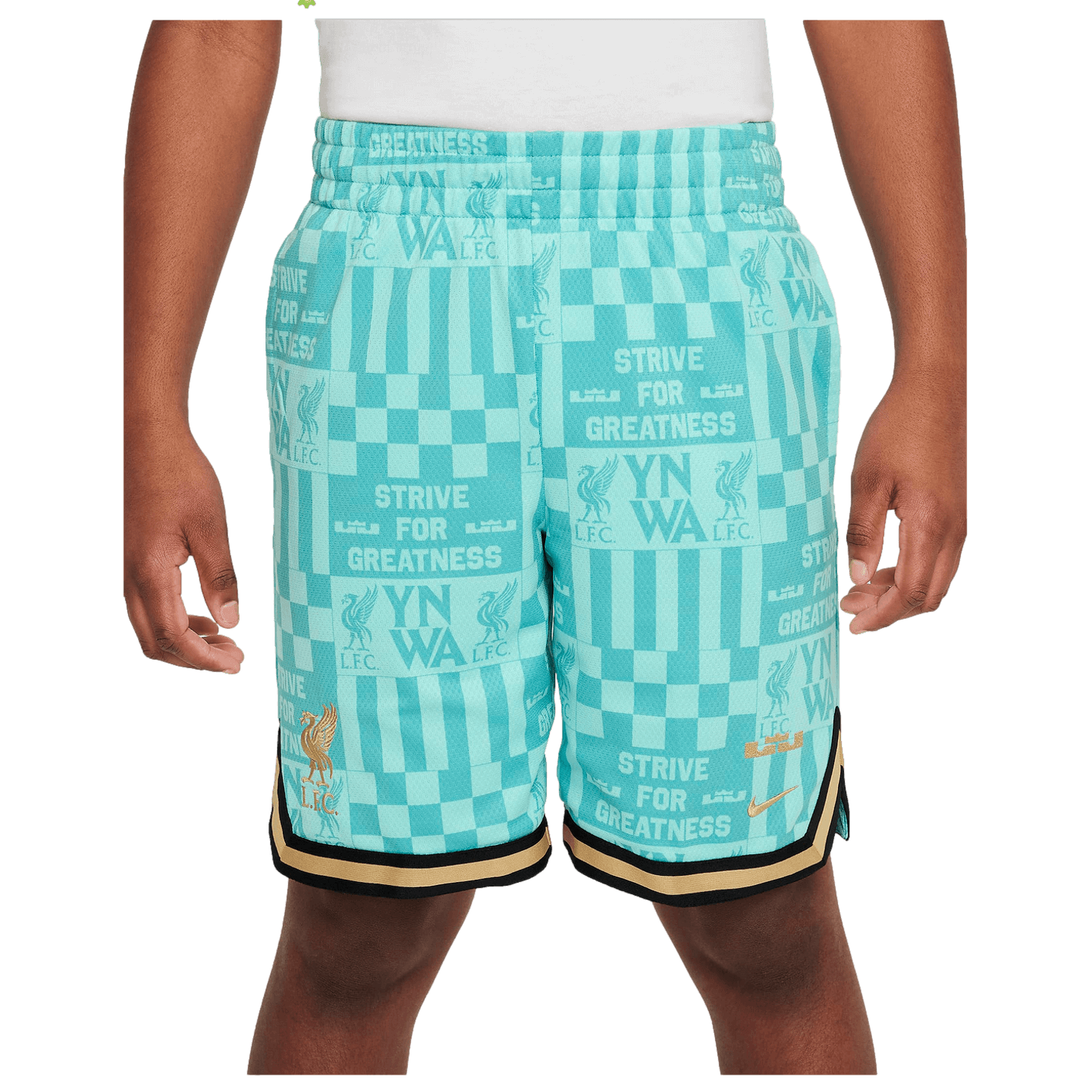 Nike Liverpool x LeBron Youth Basketball Shorts FQ4126-305