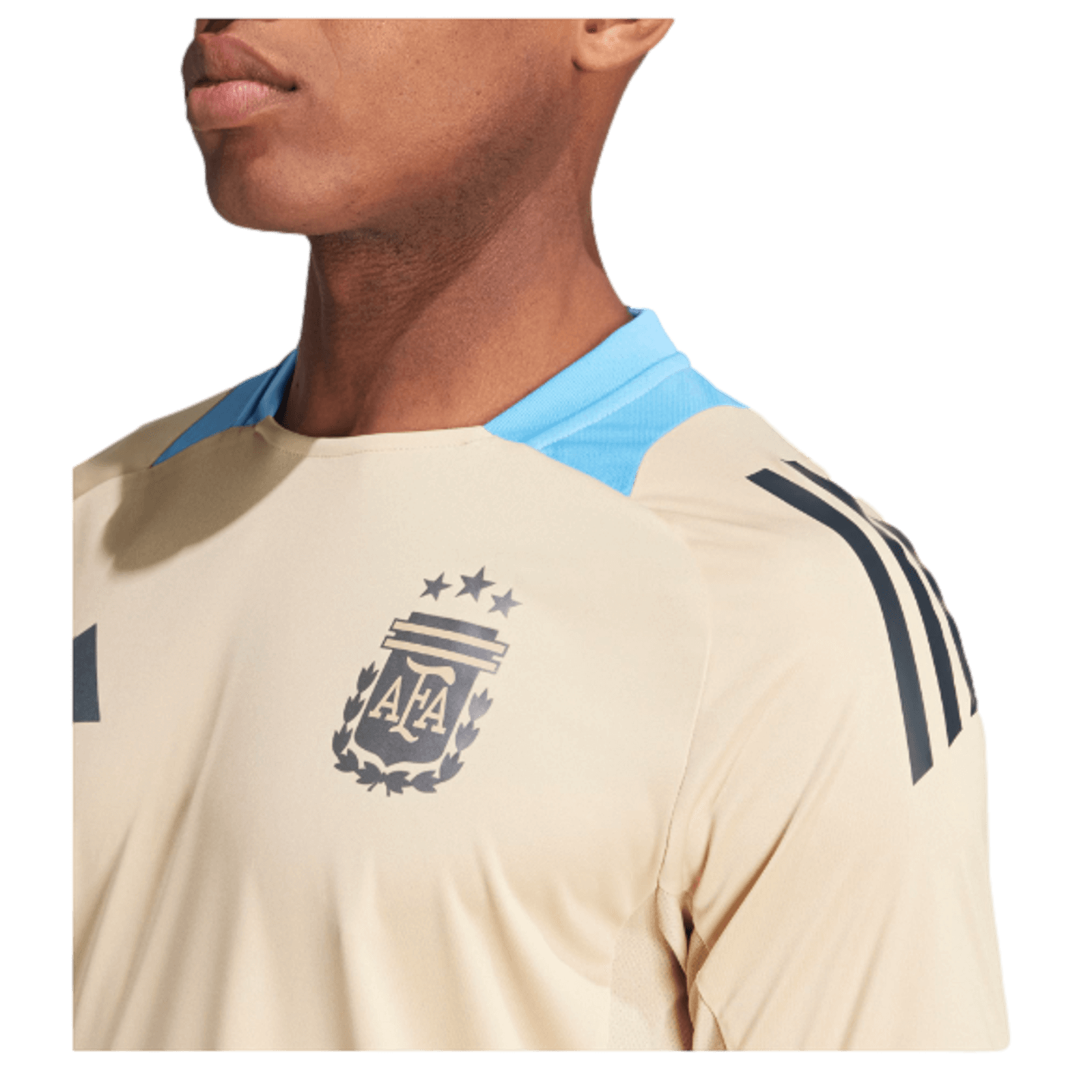 Adidas Argentina Training Jersey IQ0816