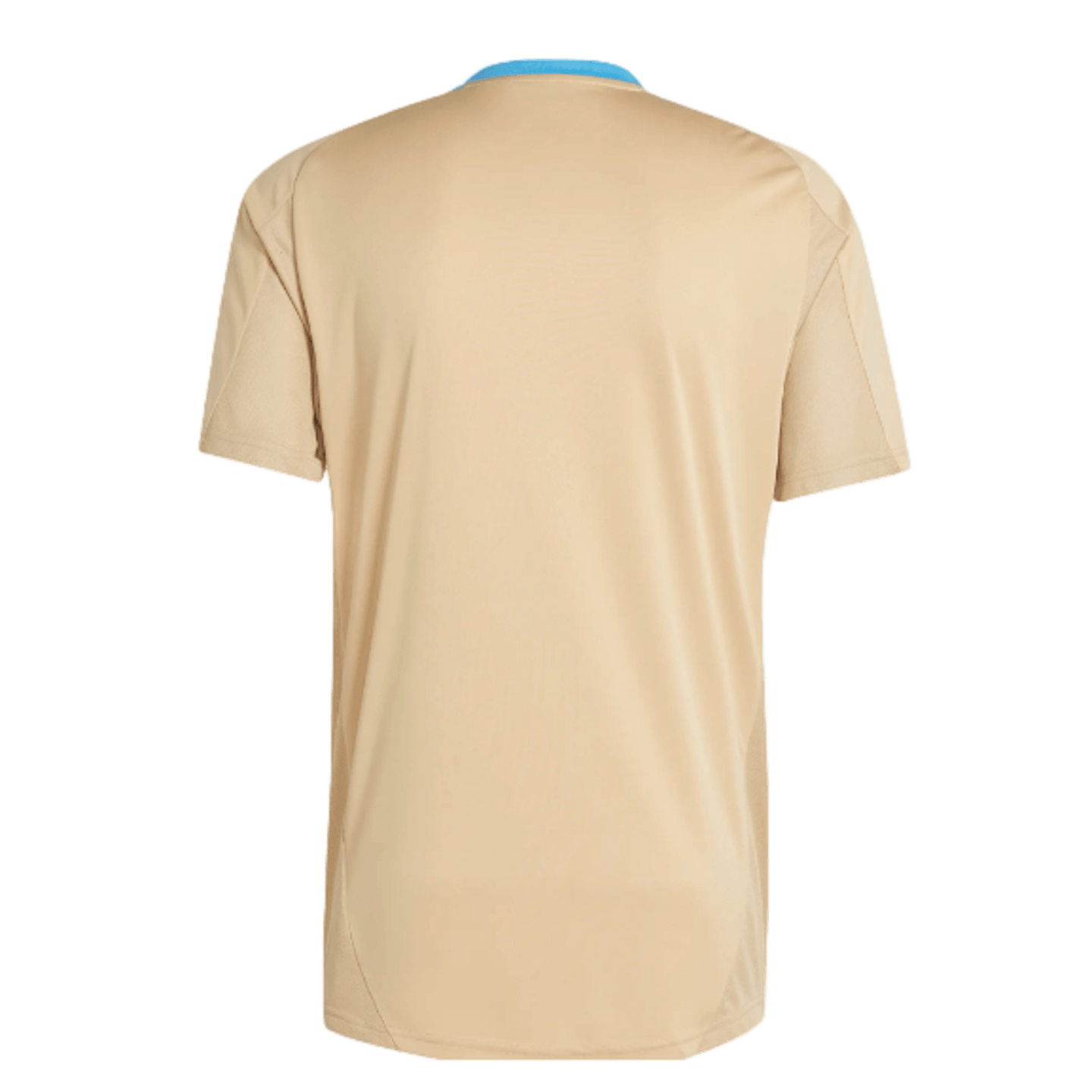 Adidas Argentina Training Jersey IQ0816