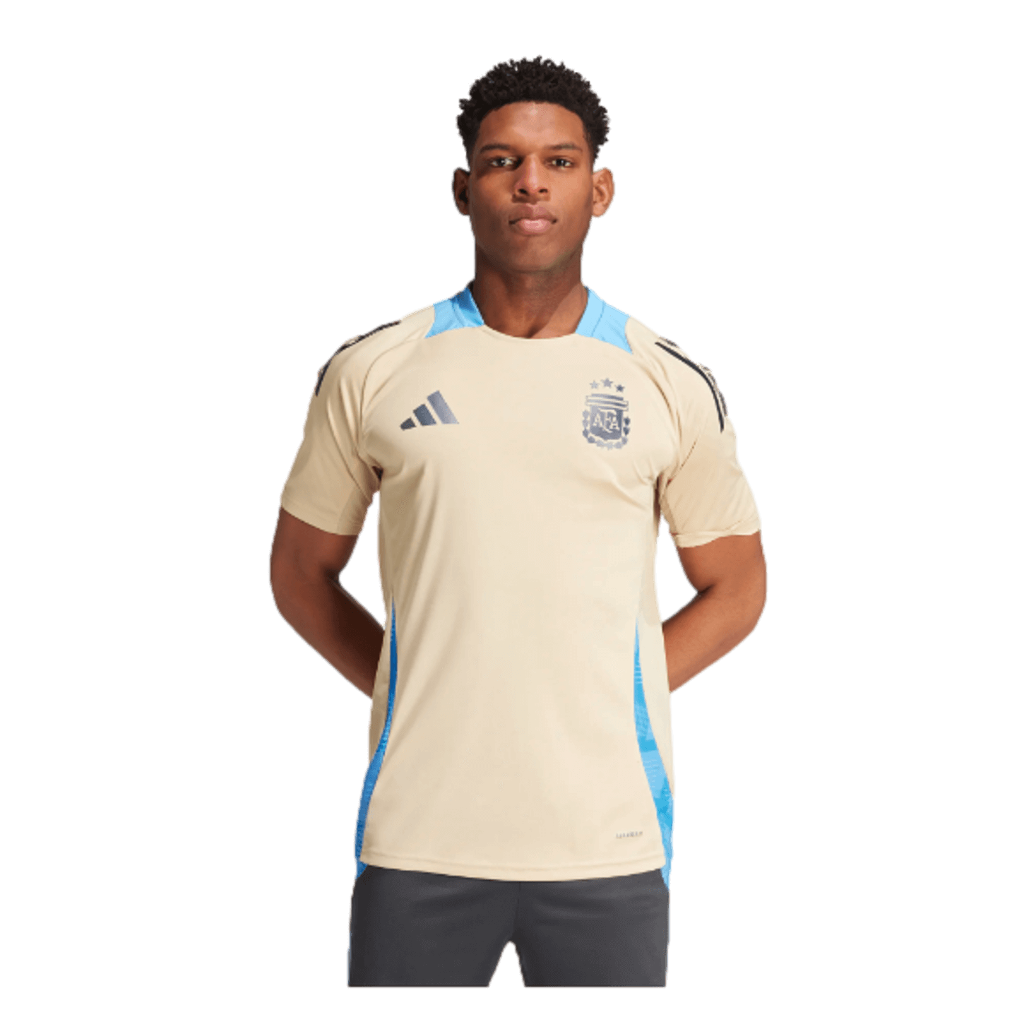 Adidas Argentina Training Jersey IQ0816