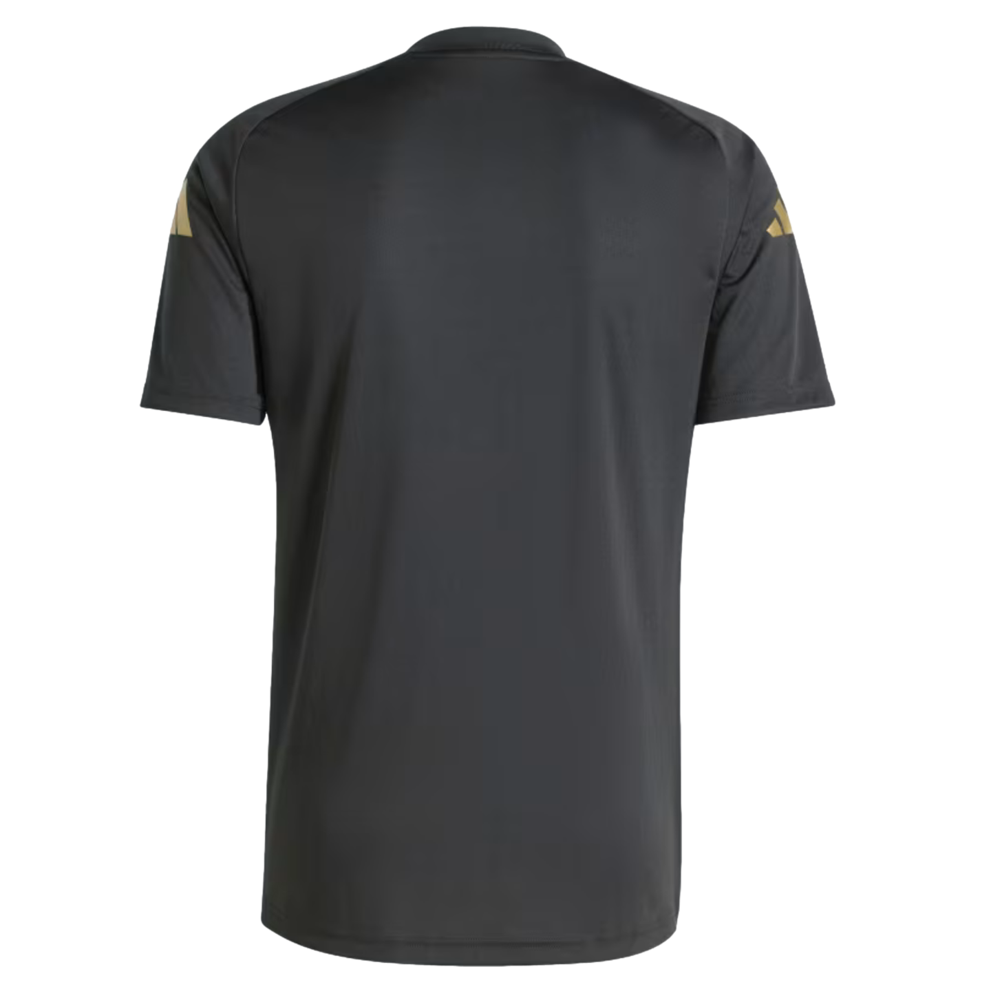 Camiseta Adidas Argentina Pre-Partido