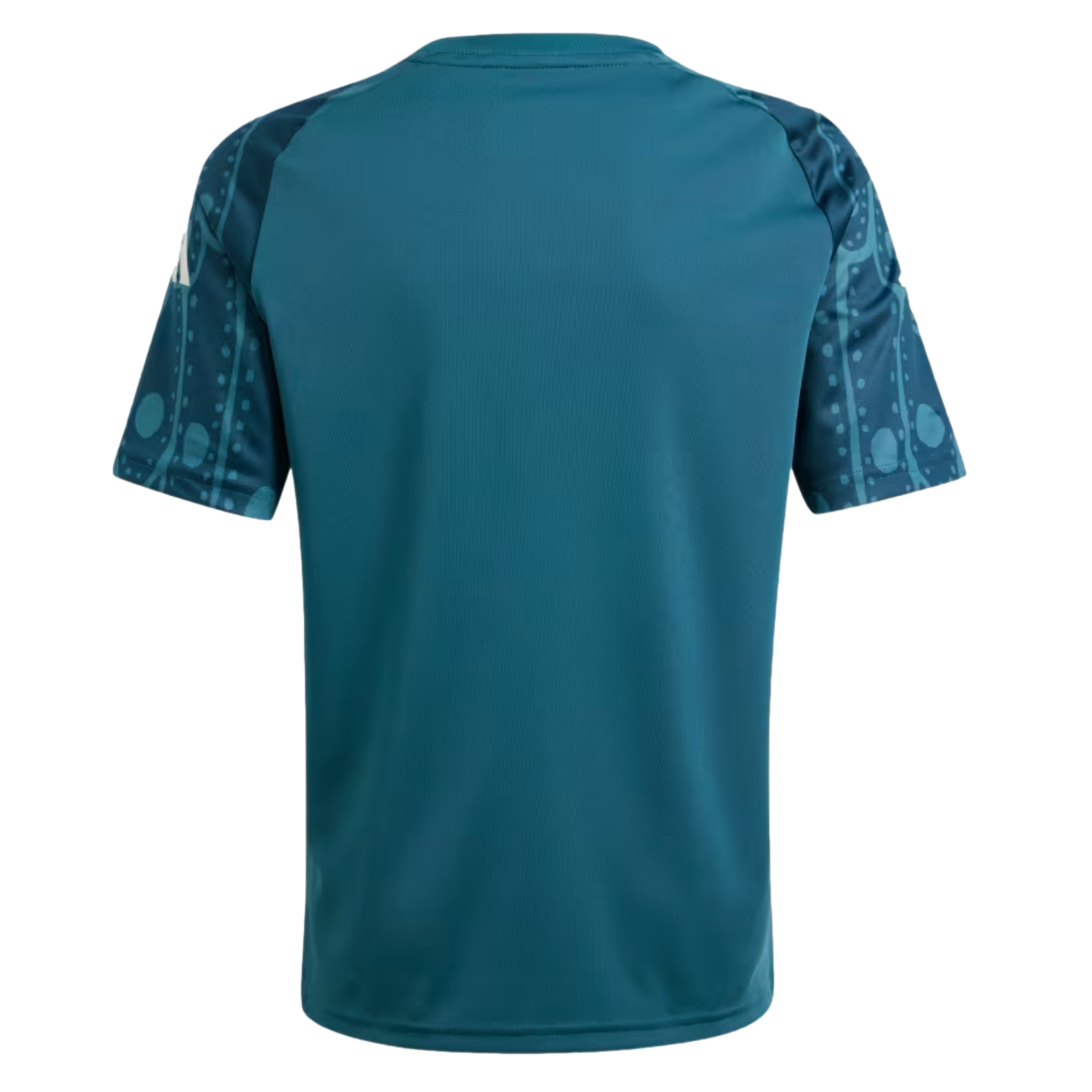 Adidas Mexico Youth Pre-Match Jersey JE3525