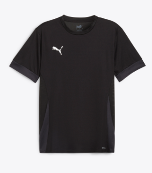 Puma-TEAMGOAL MATCHDAY JERSEY JRS-Black