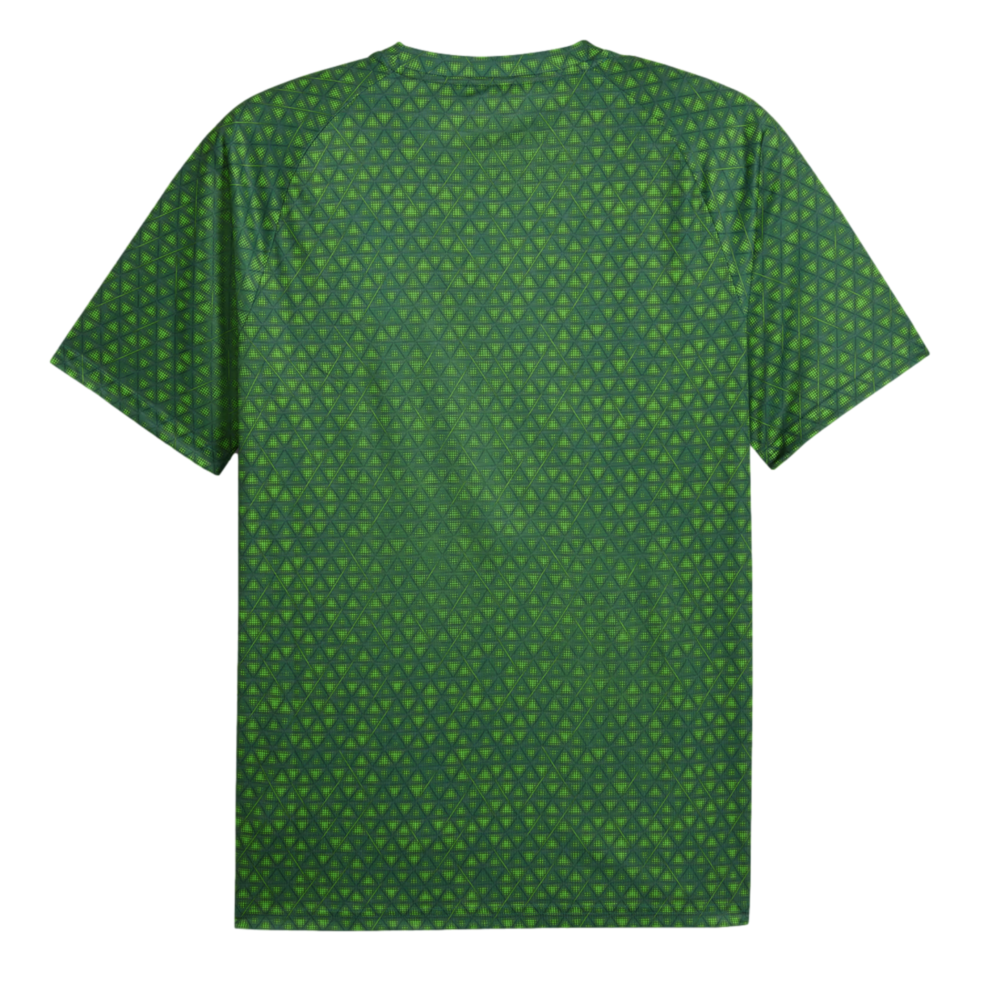 Puma Manchester City Warm Up Jersey