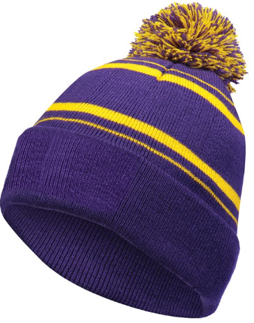 Augusta Homecoming Beanie - Purple/Yellow