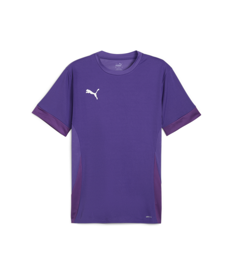 Puma Teamgoal Matchday Jersey - Violet 705747-10