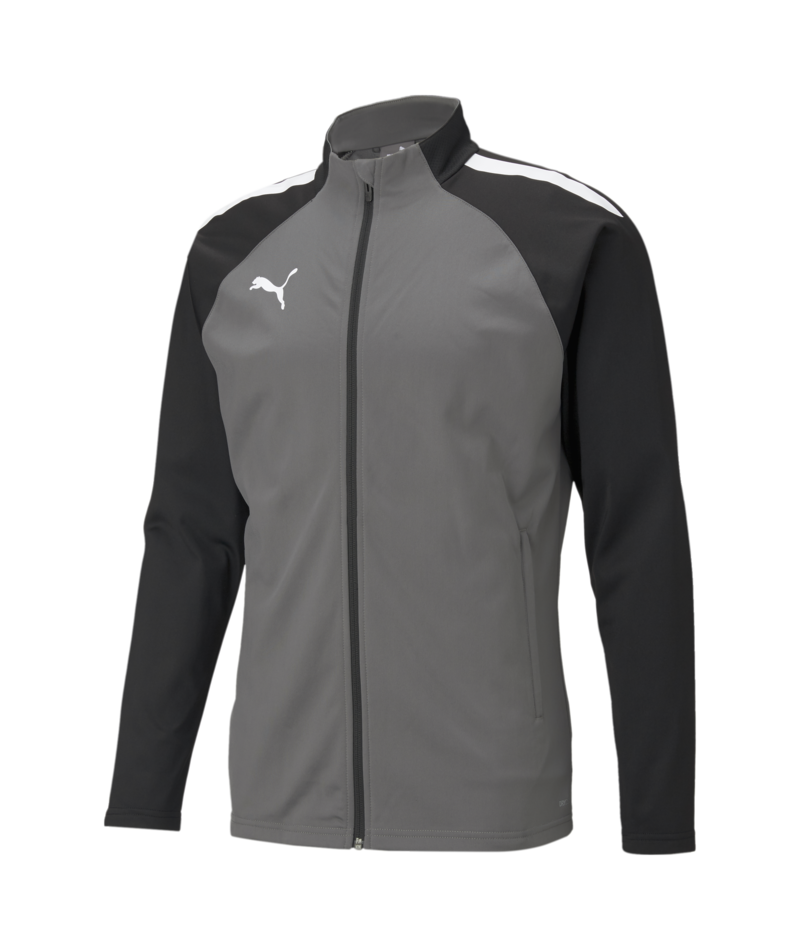 Puma TeamLiga Training Jacket - Grey
