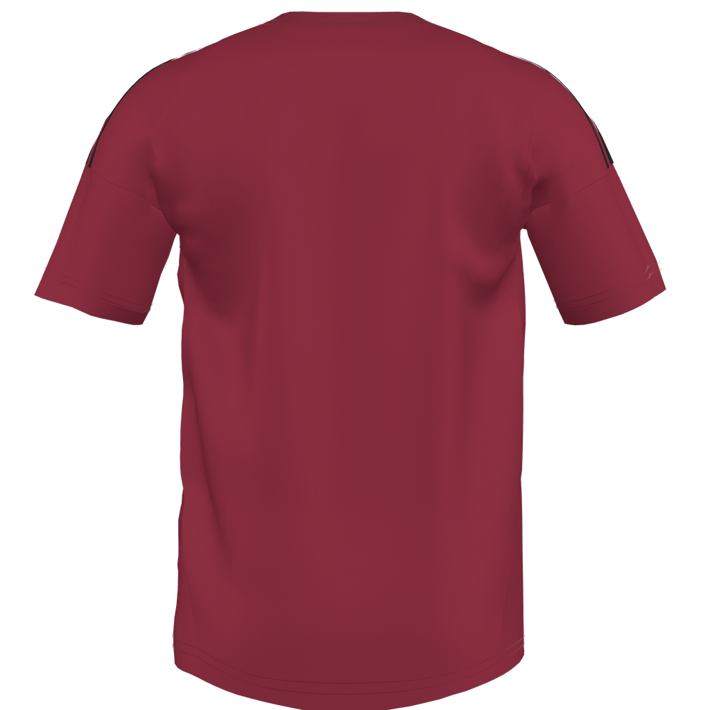 Tiro 24 Custom Jersey Red Star Youth - Red