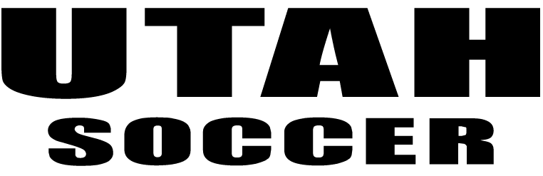 A solid black rectangle.
