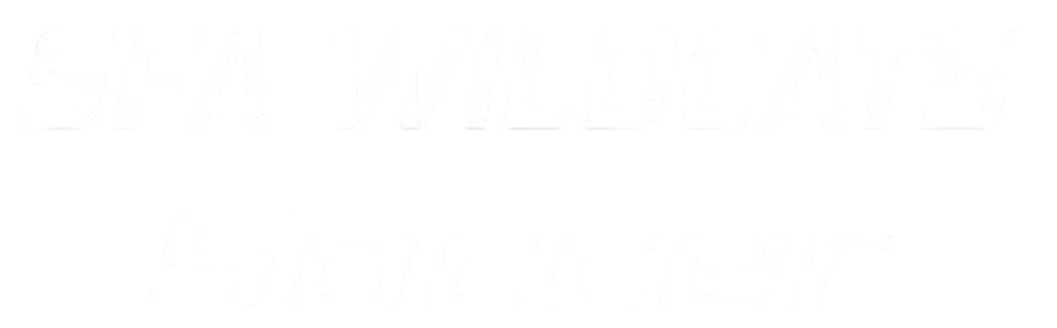 White graphic text on a black background reading "SFA WILDCATS Soccer" in a bold, italicized athletic font.