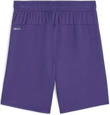 Puma TeamGoal Youth Shorts - Purple 705753-10
