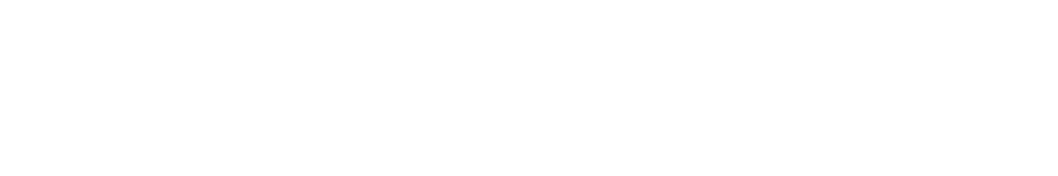 White text reading "LINCOLN FC" on a transparent background.