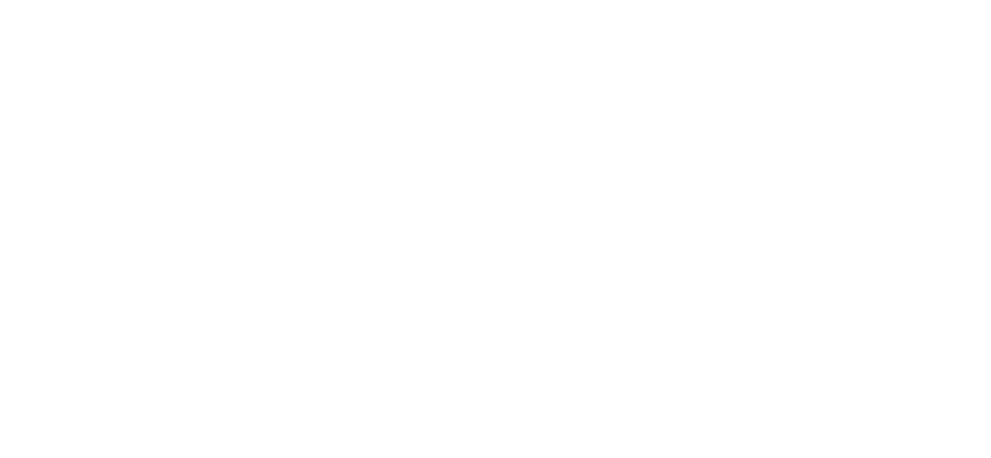 The logo for the LXU FLYLSE Backpack White, featuring the words "FLY LSE" in a bold white font alongside a stylized white airplane icon on a black background.