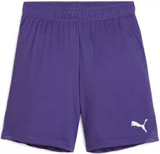 Puma TeamGoal Youth Shorts - Purple 705753-10