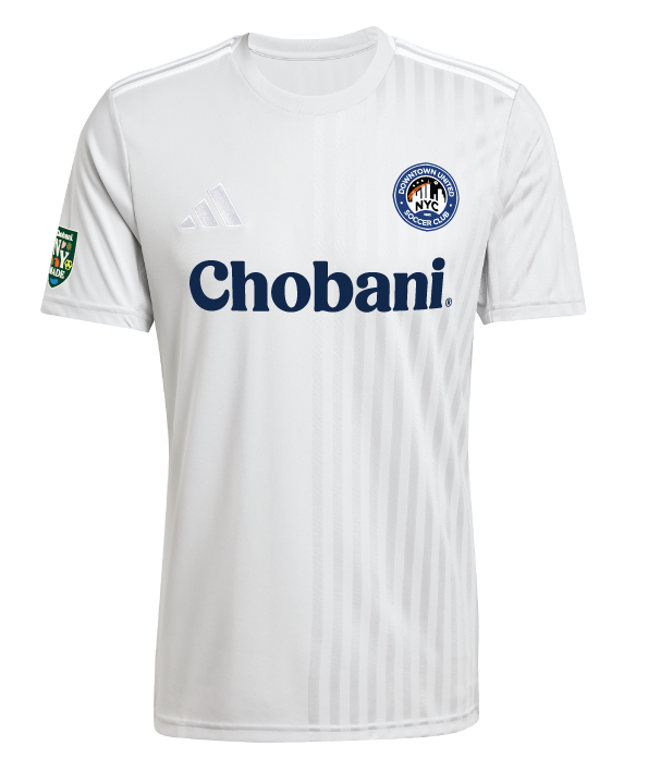 adidas Campeon 25 Jersey DUSC - Grey JF6065-DUSC