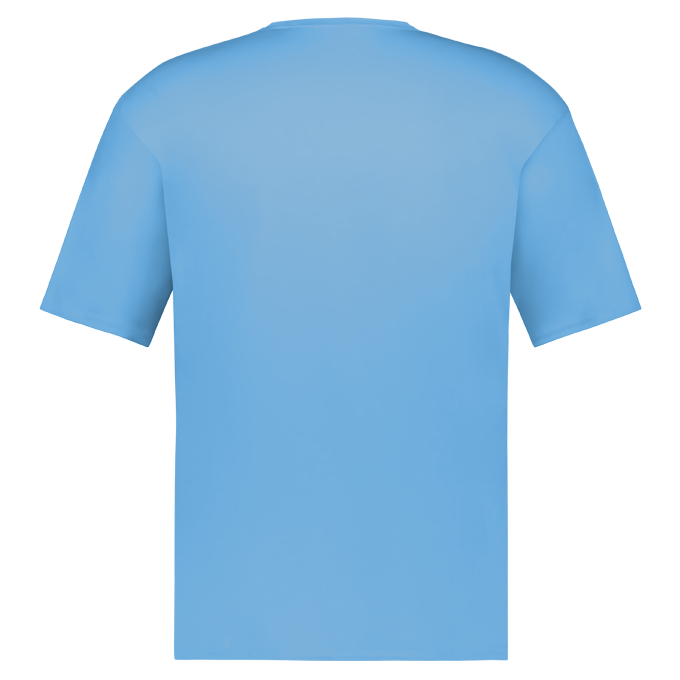 Back view of a plain, light blue short-sleeved t-shirt.