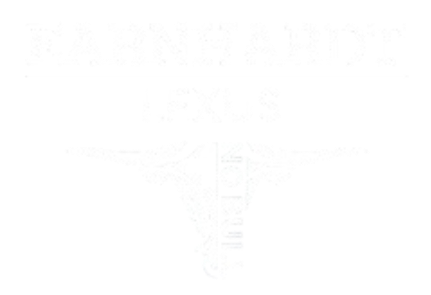 Logo for Earnhardt Lexus with white text and a stylized longhorn bull skull graphic containing the phrase "NO BULL" against a black background.