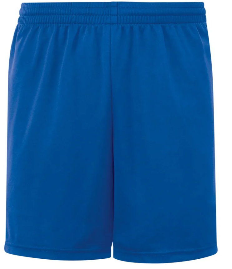 Protime Soccer Short - Royal