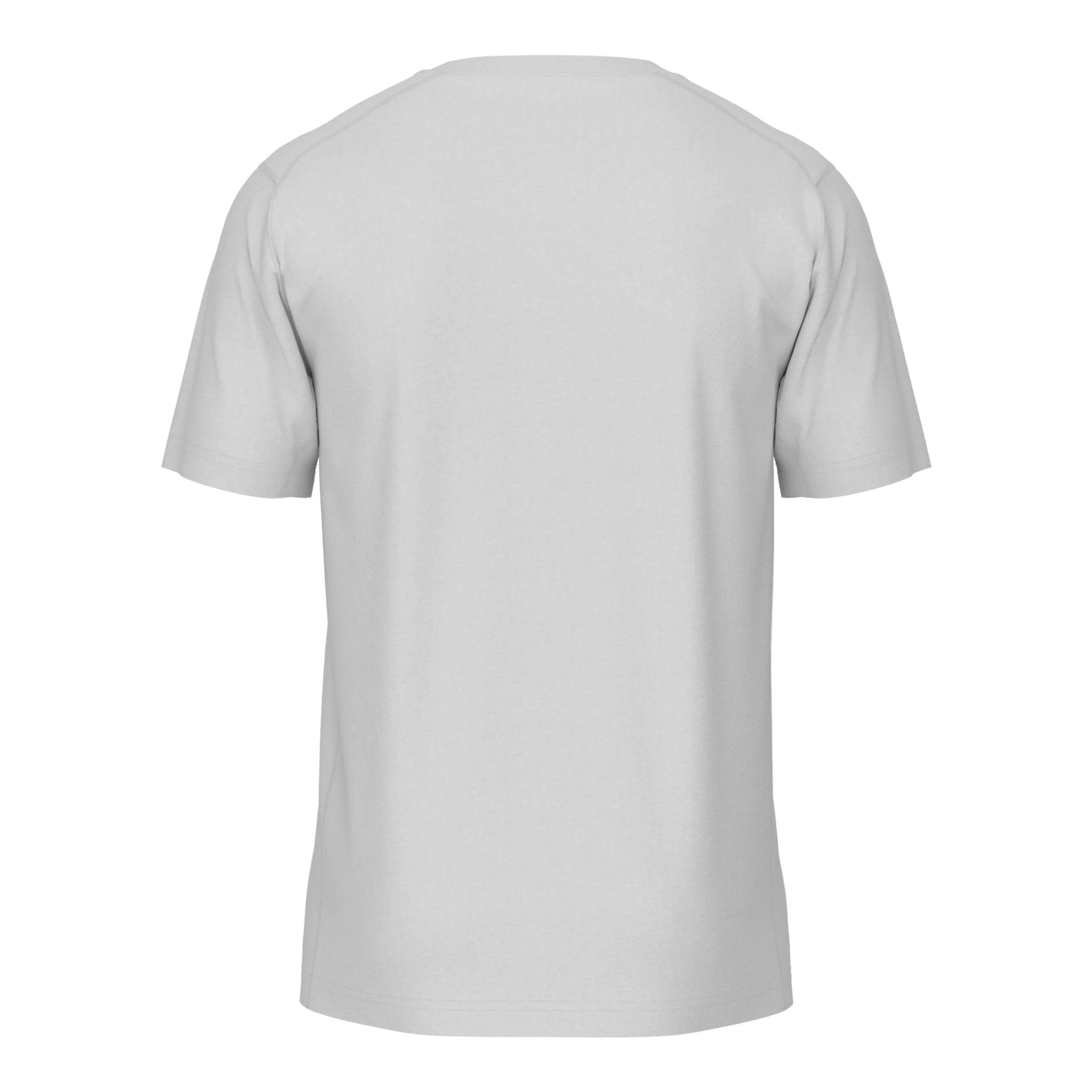Back view of a plain light grey short-sleeved t-shirt.