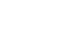 White decorative text on a black background reading "VILLAGE IDIOT".