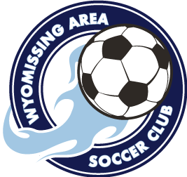 Wyomissing Area Soccer Club logo featuring a soccer ball with light blue flames on a navy blue circular background.