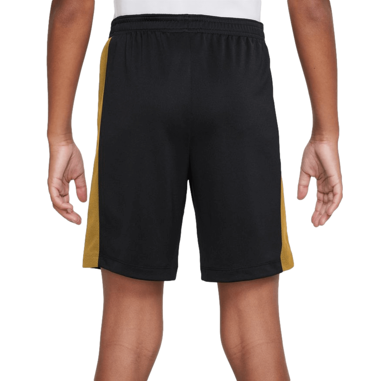 Nike Dri-FIT Academy 23 Youth Shorts - Black DX5476-011