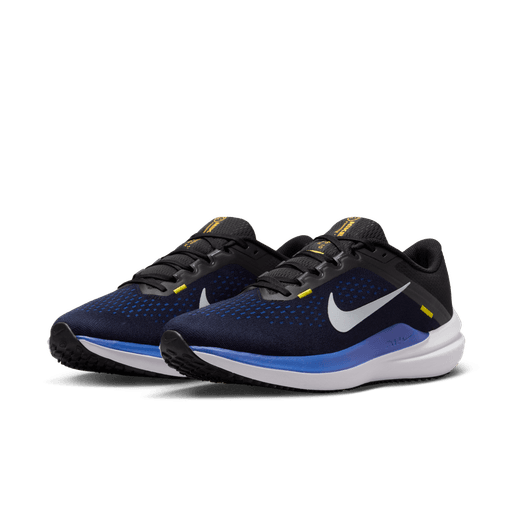 Nike Winflo 10 Shoes - Black/Royal DV4022-005