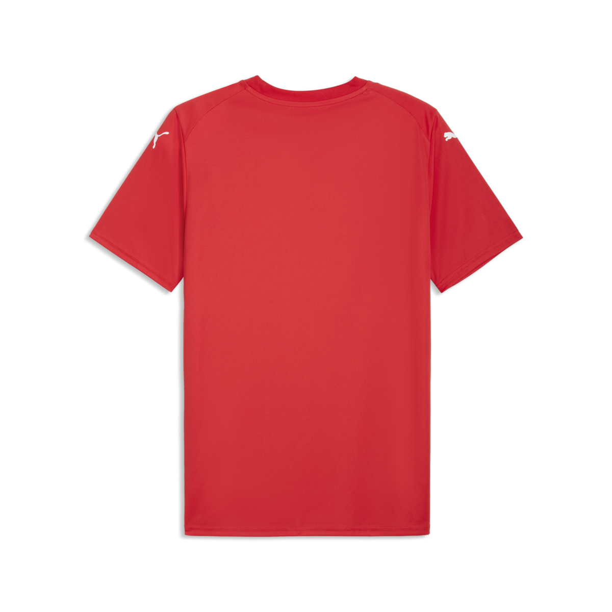 Puma Teamfinal Graphic Jersey - Red