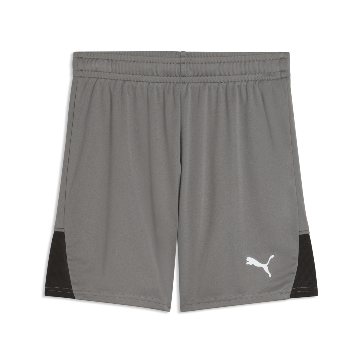 Puma Youth TeamLiga 26 Shorts - Gray