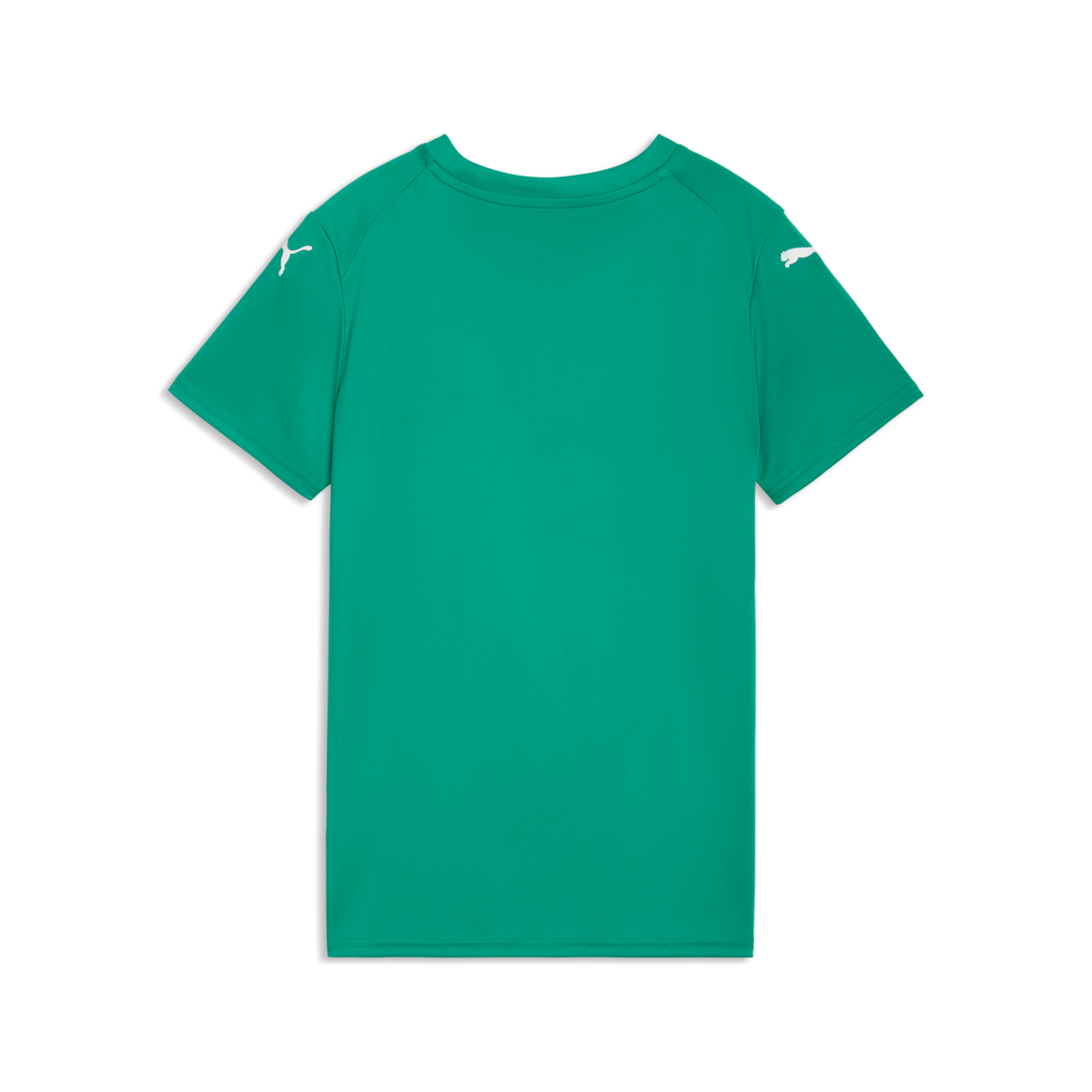 Puma Women'S Teamfinal Graphic Jersey - Green